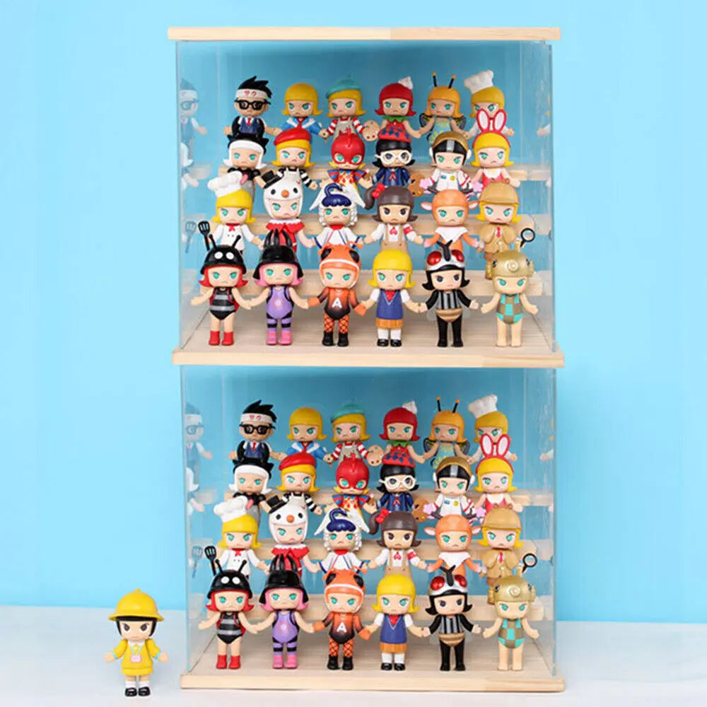 Acrylic 4-Step Display Case